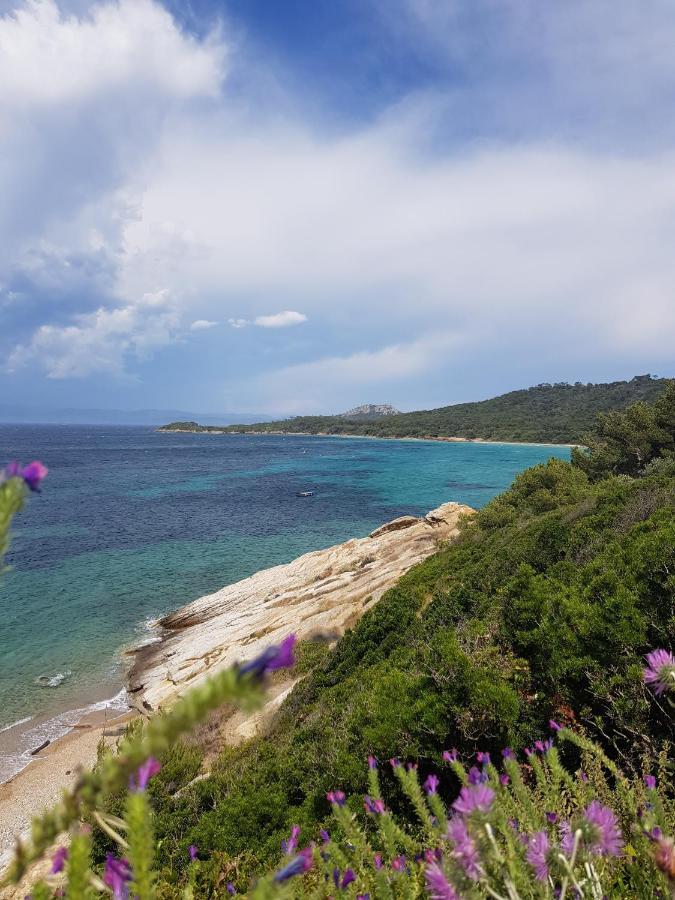 Appartamento Les Terrasses Bormes-les-Mimosas Esterno foto