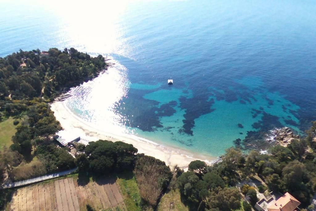Appartamento Les Terrasses Bormes-les-Mimosas Esterno foto